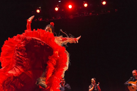  Flamenco Vivo avec Aire Gitan,o Espagne, Auditorium - Samedi 8 mars 2014 Saison des musicales 2013-2014. Avec  les chanteurs David Carpio et Felipadel Moreno, les danseurs Saray Garcia et Miguel Angel Heredia et le guitariste Manuel Valencia.
